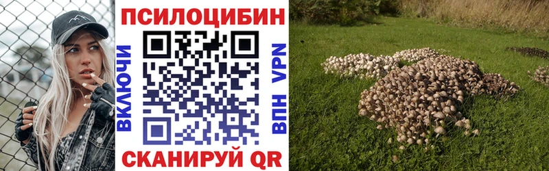 Купить  Мостовской  Галлюциногенные грибы Psilocybine cubensis 